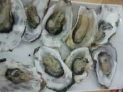 生蚝-海岛渔村大酒店(云霄路店)