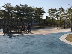 游乐设施-海珠儿童公园