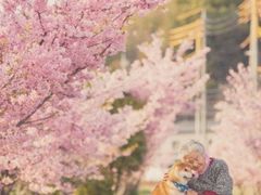 -京北大世界