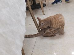 -汇兴源餐馆(小北路店)