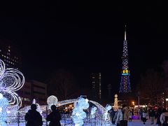 -大通公园
