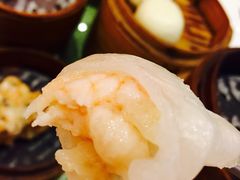 虾饺-高第街56号餐厅(宝龙店)