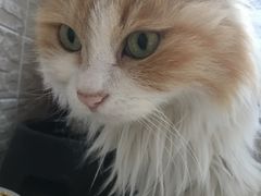 -欧奕国际动物医院