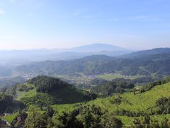 -紫鹊界梯田景区