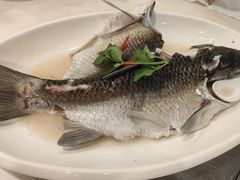 油盐蒸大鲩鱼-九记路边鸡(滨江路店)