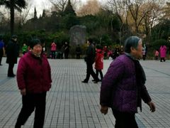 -洛阳市牡丹公园