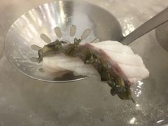-正能量脆肉鲩火锅