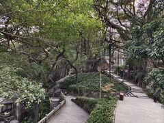-乌山风景区