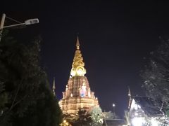 -纳兰傣雀傣味餐厅