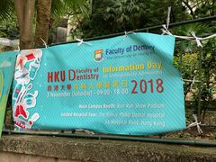 -香港大学