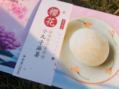 -天适樱花悠乐园
