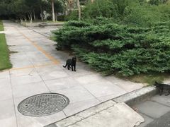 -杭州师范大学(下沙校区)