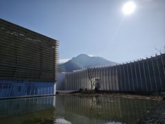 -中国宣纸文化园