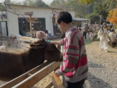 -HERRE·FARM 赫尔露营农场·团建聚会包场