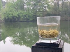 -张鸟园农家乐(张鸟园店)