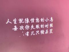 -成都失恋馆