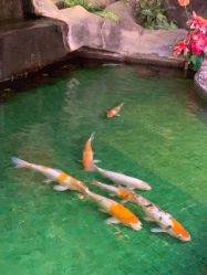 -金鹭首饰一条街(思明南路店)