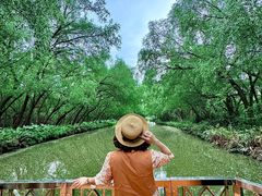 -大湾区中央湿地公园