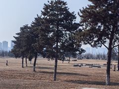 -汉长安城未央宫国家考古遗址公园