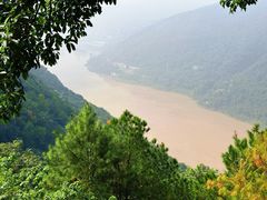 -铁山坪森林公园