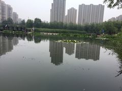 -前关湿地公园
