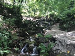-天女山森林公园