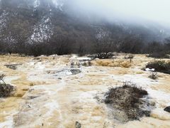 -黄龙山原始森林景区