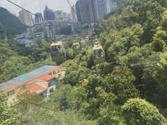 -黔灵山公园