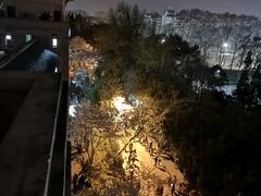 -武汉大学-樱园