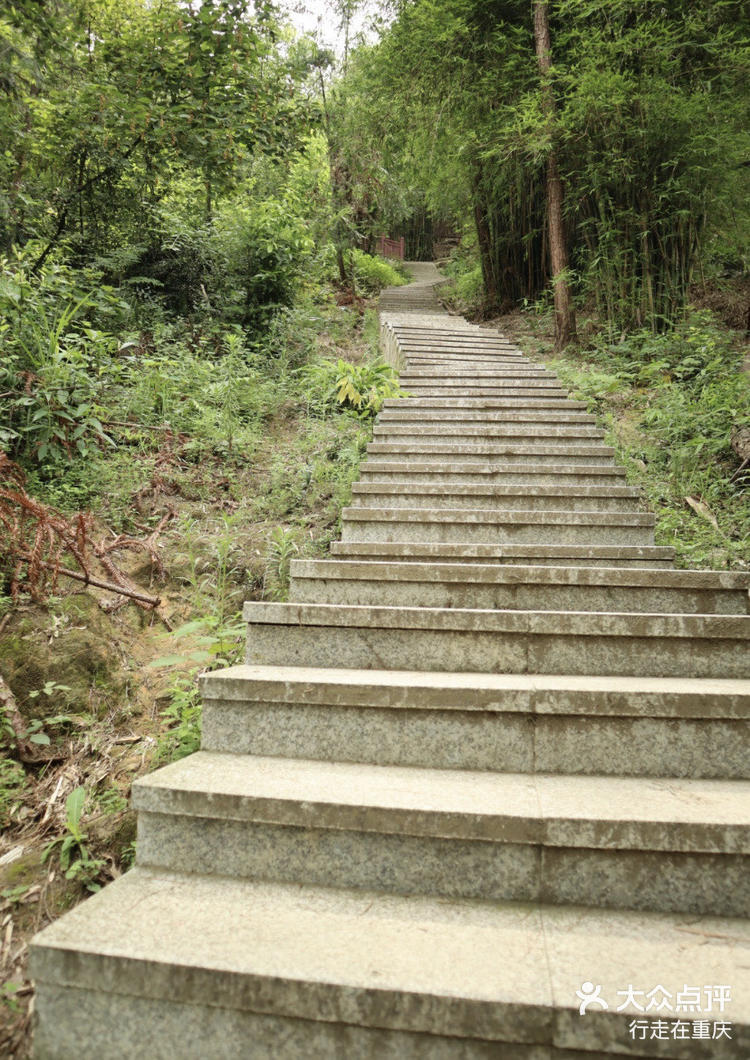 重庆市区登山好去处图片