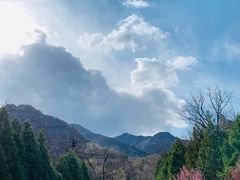 -北京鹫峰国家森林公园