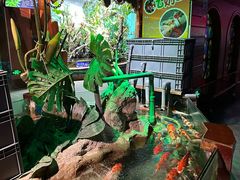 -太平洋海底世界