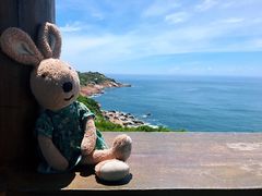 -广东惠东海龟国家级自然保护区