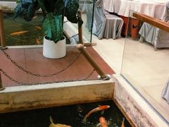大堂-太子园林酒家
