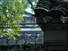 -南山植物园