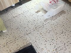 -柚子猫舍·精品猫舍购猫·猫咪认养·购宠·宠物店