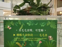 -LuOne凯德晶萃广场(徐家汇路店)