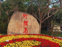 -野狸岛