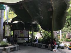 -100蛋泥浆浴