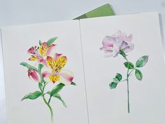 -青沐画室·专业美术培训