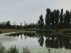 -东郊湿地公园