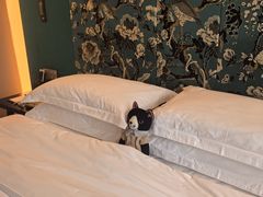 -福州金融街万达鳌峰洲地铁站锦江都城酒店