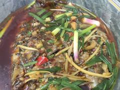 -糊涂兔毛毛菜(八里庄店)