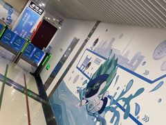 -北京科技大学-游泳馆