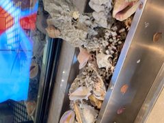 -开海·红岛海鲜虾水饺(石老人店)