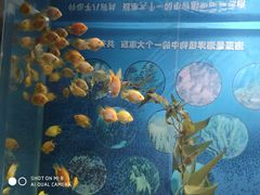 -福州罗源湾海洋世界旅游区