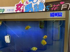 -艾维口腔(春江花月门诊部)