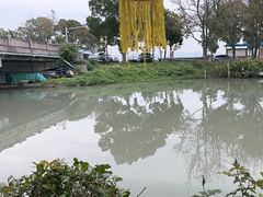 -晓琦农家菜馆·地道农家菜