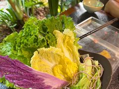 -菌自由丨野生菌火锅特色庭院餐厅(丽江古城店)