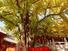-红螺寺